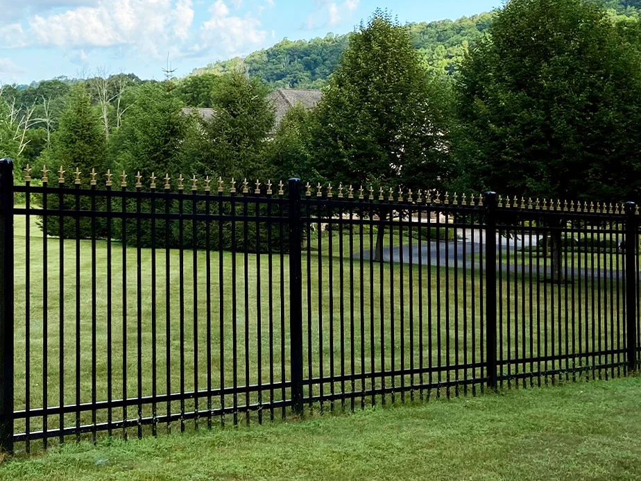 Open ornamental fence defining a green yard
