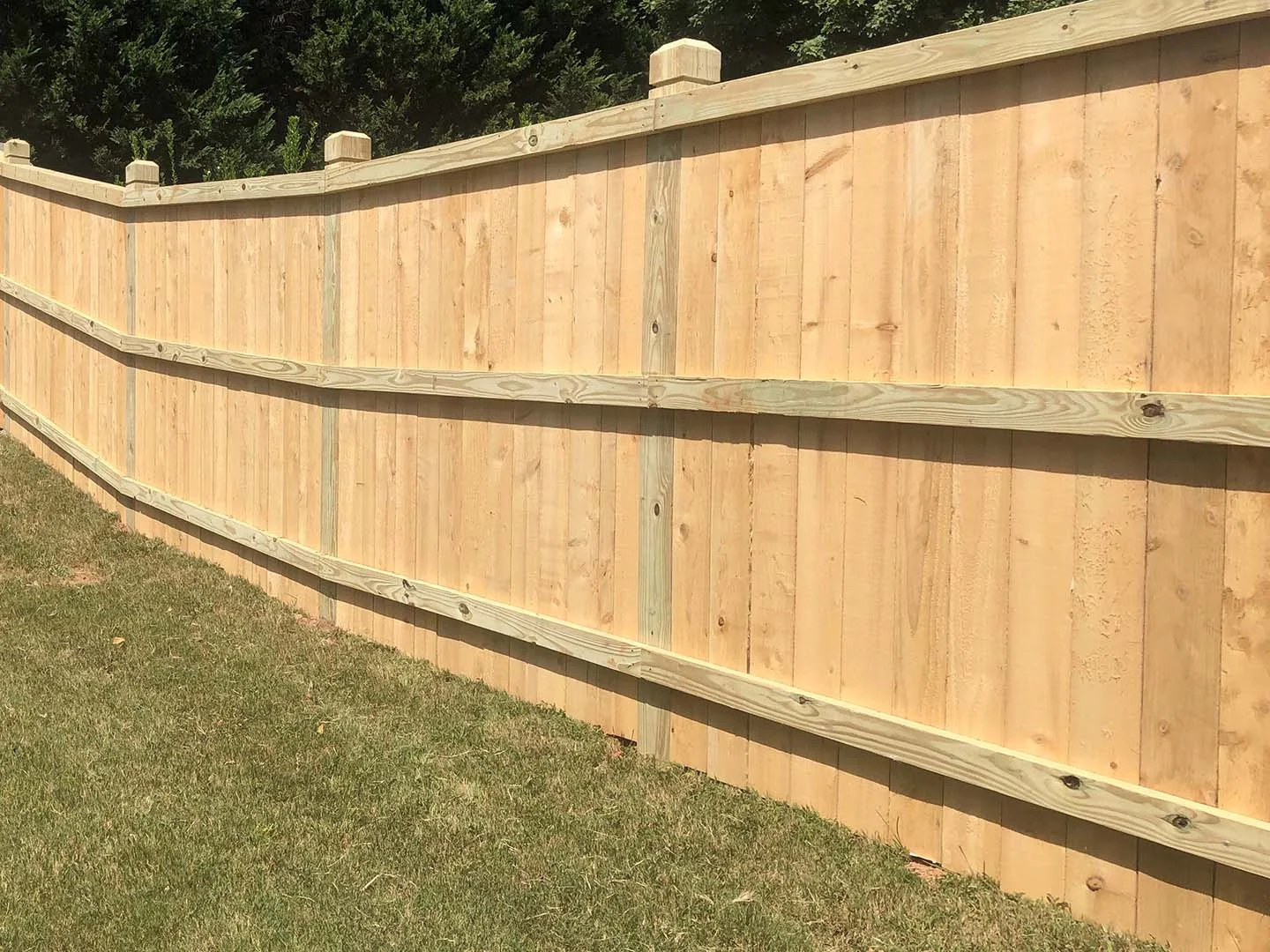 Rear view of a capped wood privacy fence