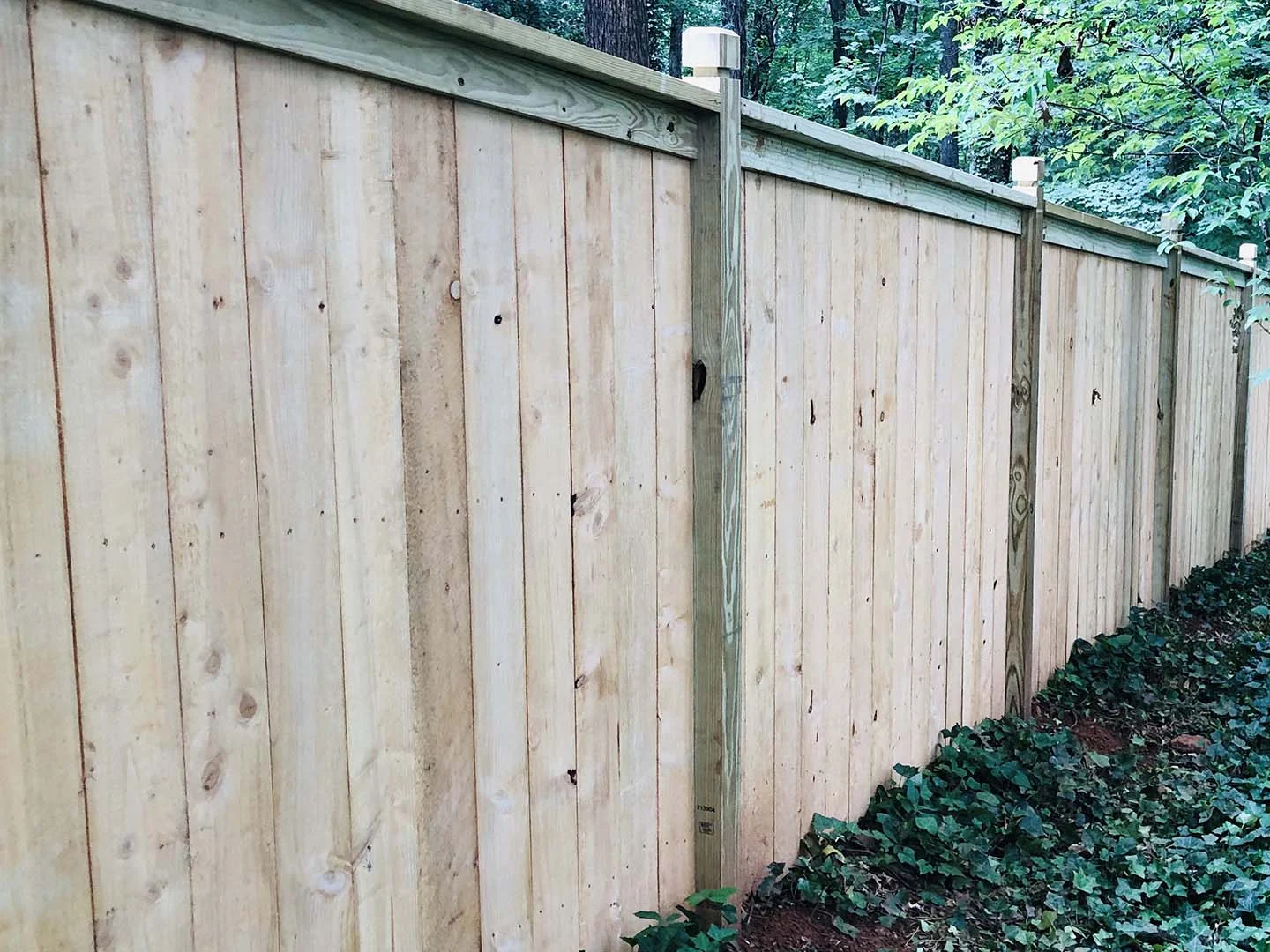 Wood privacy panels with a continuous top rail